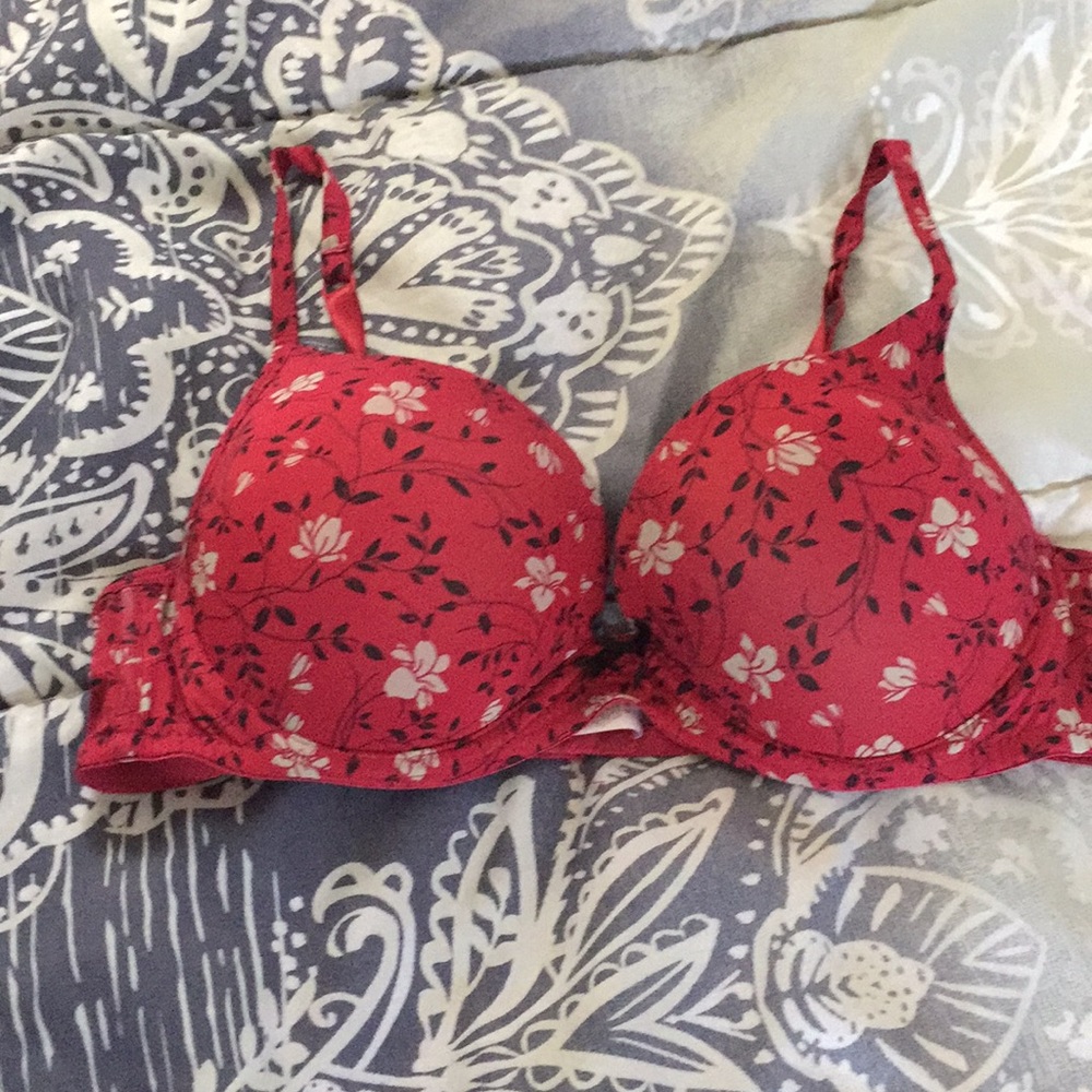 Maroon and gray bra